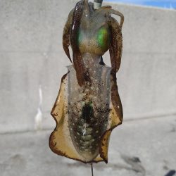 半年ぶりの淡路島